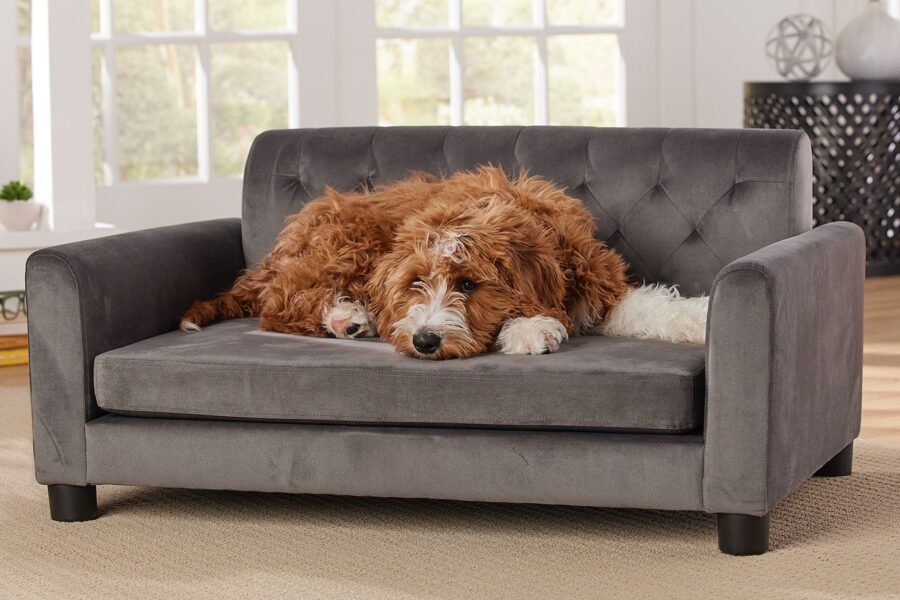 Reasons to Use Anxiety-Calming Dog Sofas in Your Business