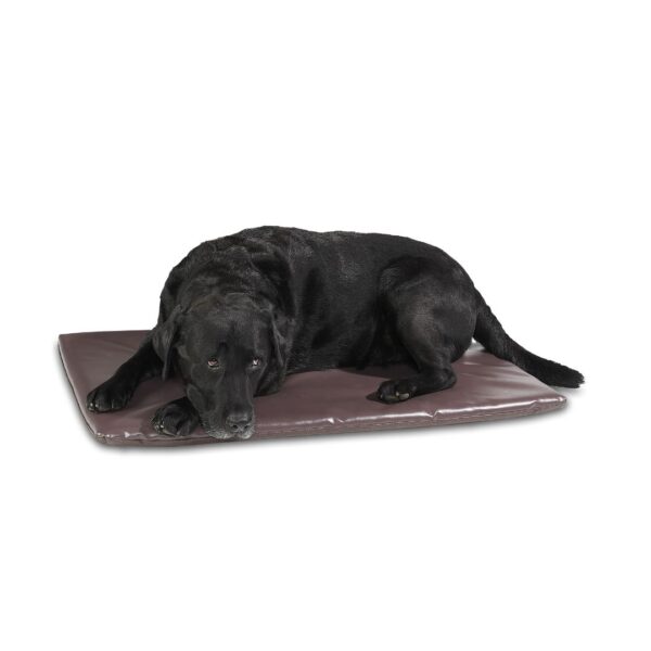 memory foam orthopedic dog cushion
