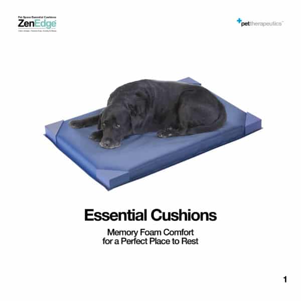 Essential Cushion - Image 2