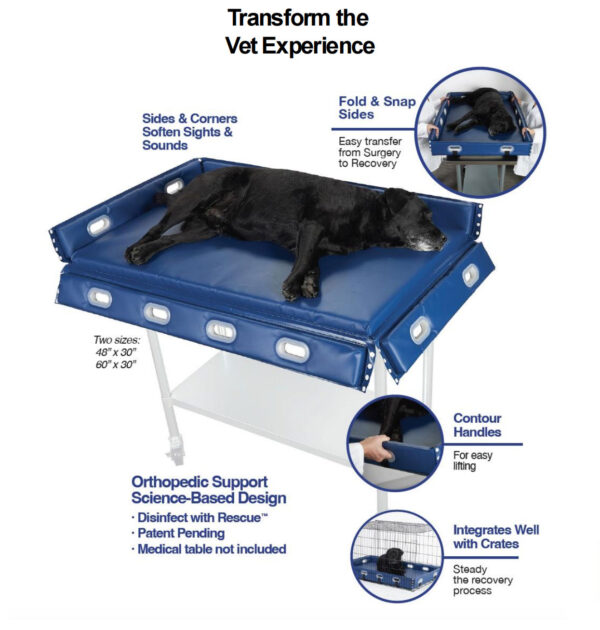 Recovery Pet Bed