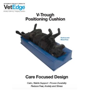 Positioning Cushion
