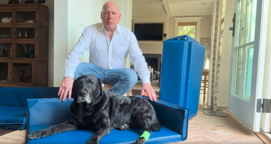 Dog resting on commercial Fear Free pet bed with caregiver in professional pet care environment, durable anxiety-reducing pet furniture