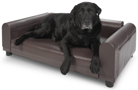 Black dog resting comfortably on a ProEdge Pet Bed designed for boarding environments