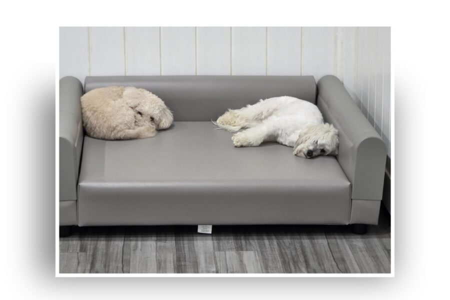 ProEdge Pet Sofa featured in a 500-night durability study for premium pet boarding facilities