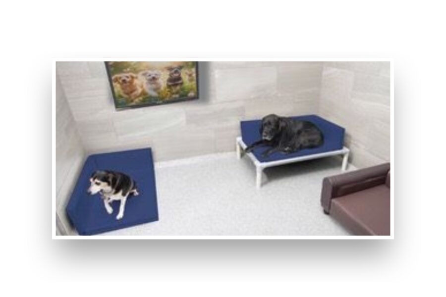 Luxury boarding suite featuring commercial pet furniture and Fear Free® pet beds designed for Barkitecture-Boarding.